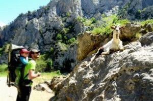 Montaña con niños